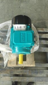 brockrompton induction motor